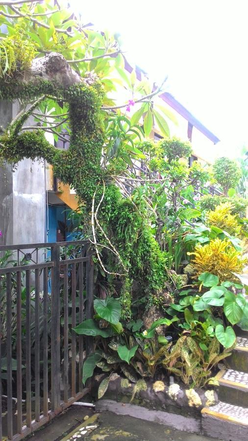 Betesda Guest House Canggu Екстериор снимка